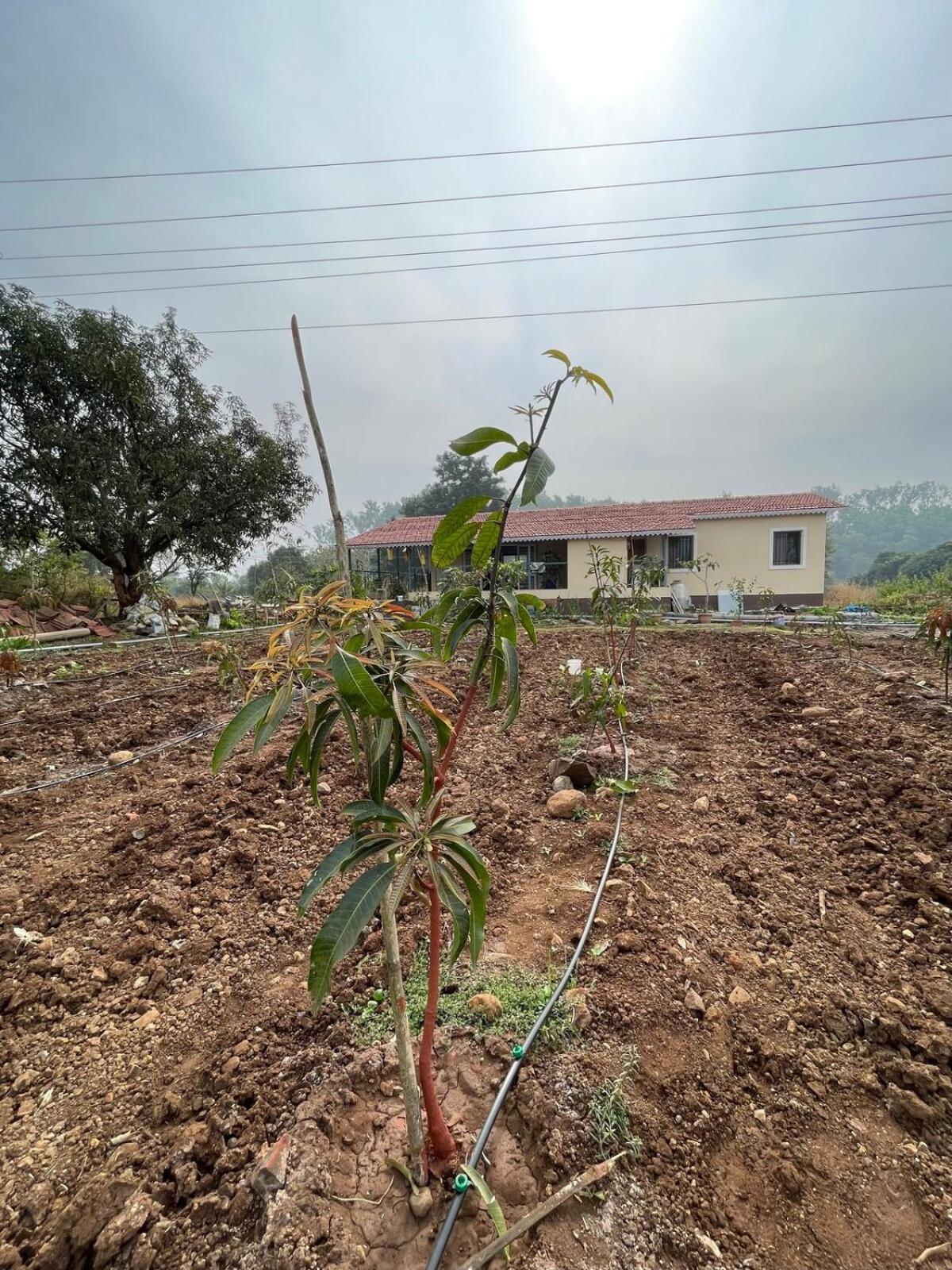 Aj Farms Villa Welhe Kültér fotó